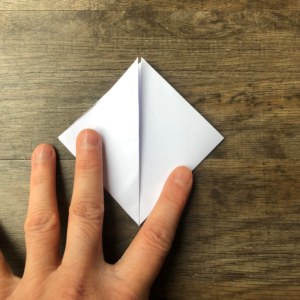 Fold left side