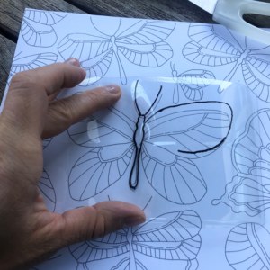 Tracing butterflies with black marke