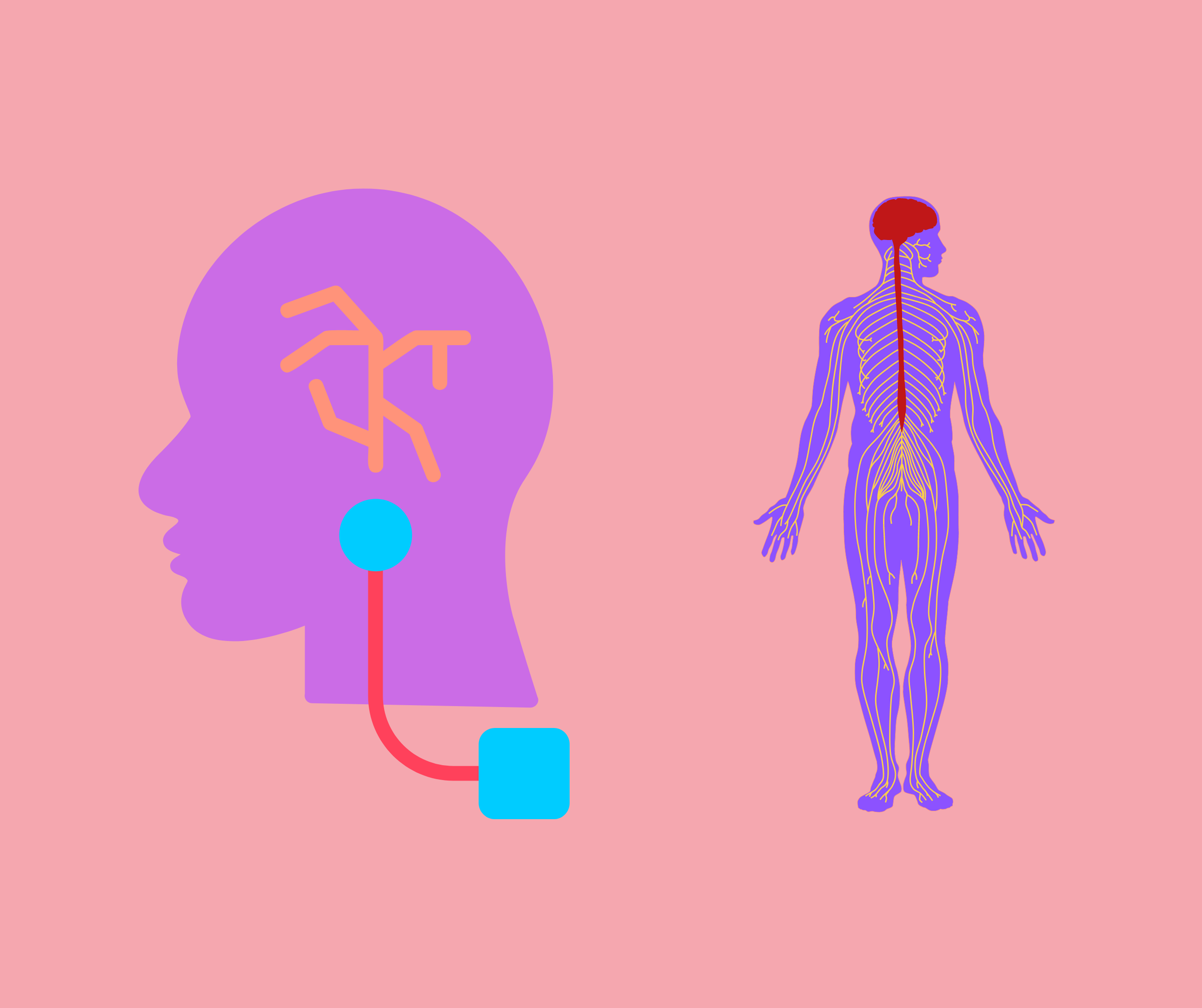 The graphic has two icons. The first one shows a head with the brain being connected by a wire to a box. The other is a human body showing a nerve that connects the brain to the gut