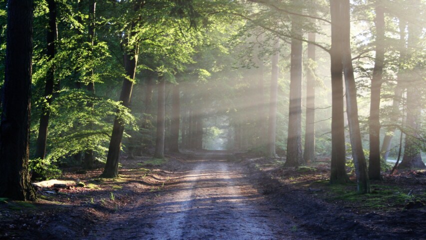 the-road-815297-aspect-ratio-2560-1440