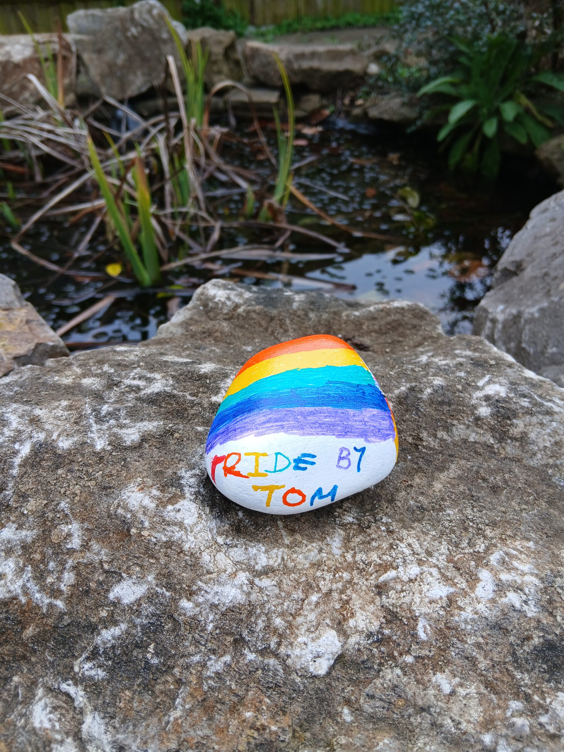 Pebble created by Tom, member of our Autism Group